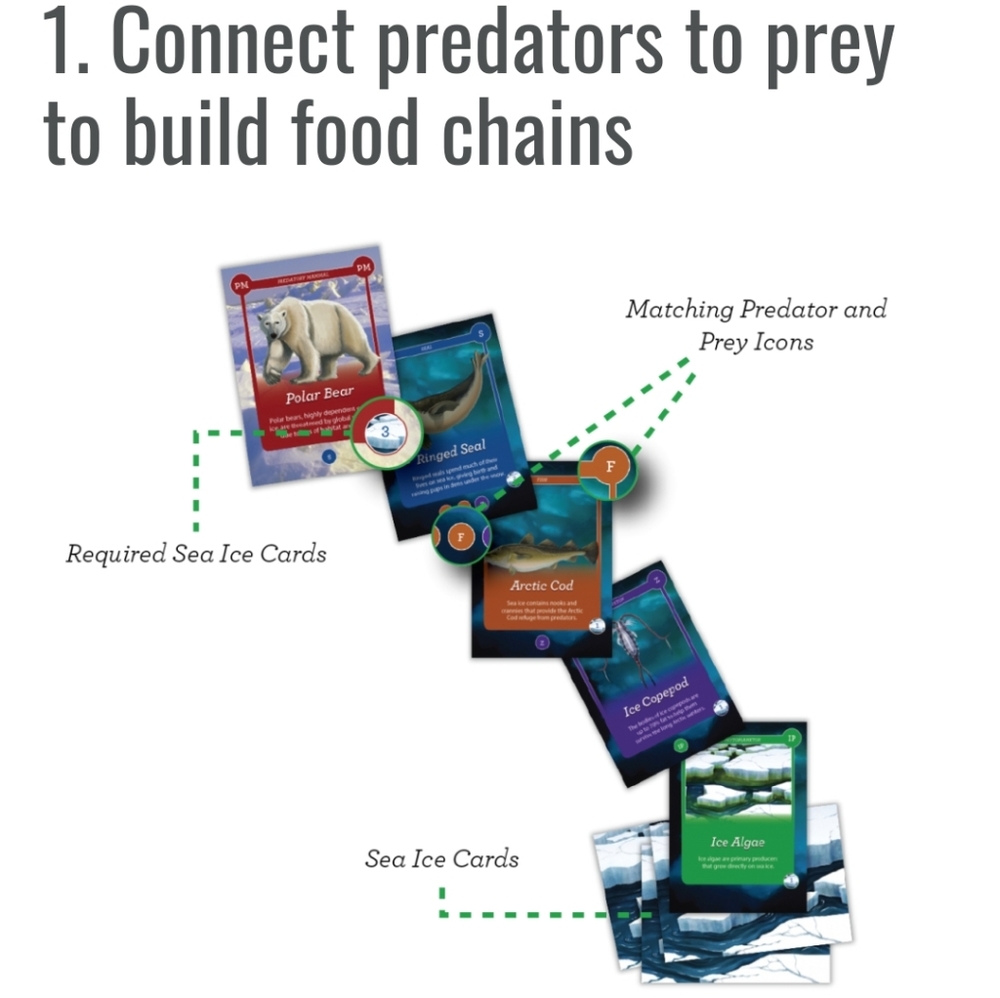 💌 Free with Any Purchase EchoChains Artic Life Card Game - Picture 2 of 5